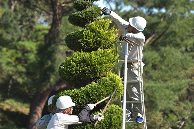 まとめ