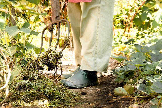 畑の草取りを手軽にしてくれる道具