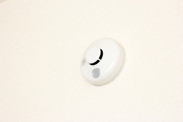 ネズミ駆除を燻煙剤でしてみよう！