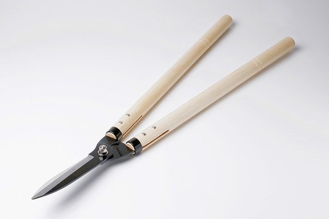 成長の早いサンゴミズキには剪定が欠かせない
