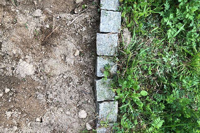 メヒシバの駆除ができたら発生を防ごう