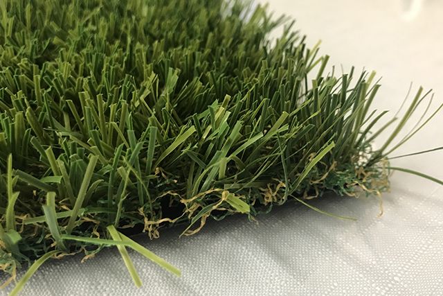 メヒシバの種は意外なところからも来る！芝張り前の注意点