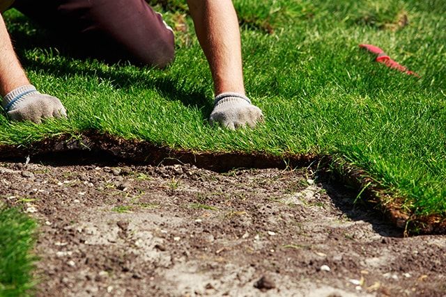 天然の芝生以外にも外構を飾る方法はある