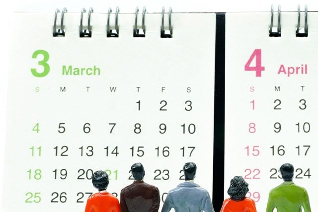 ウィルマの剪定方法！きれいな木を保つには