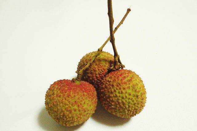 ライチの剪定は実を収穫してから