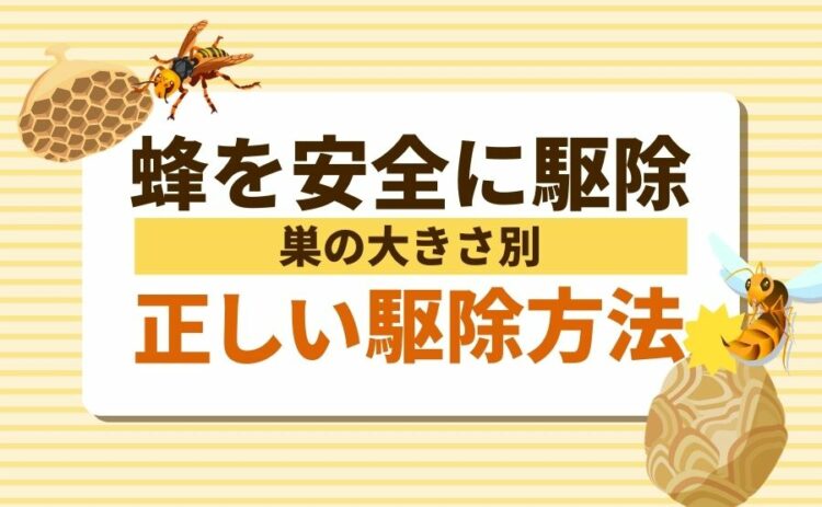 蜂の巣 作り始め アイキャッチ
