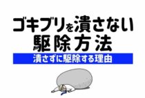 ゴキブリを潰してはいけない衝撃の理由｜増やさないための適切な後処理