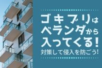 ゴキブリはベランダからやってくる！寄り付く理由と寄せ付けない対策