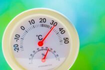 ゴールドライダーを育てるポイントを紹介！剪定方法とメリットも解説