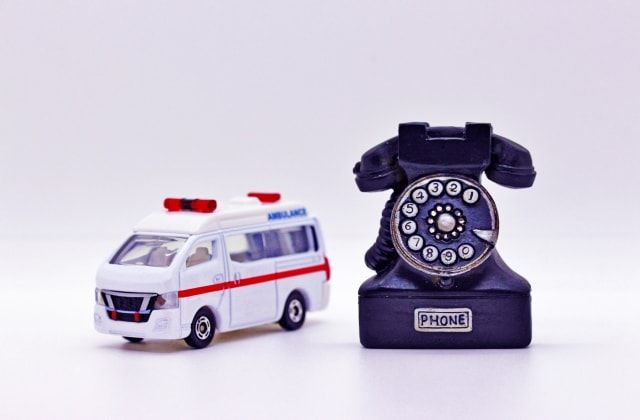 キボシアシナガバチの蜂の巣は黄色が鮮やか。ほかの蜂の巣についても