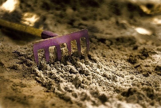レーキの使い方を知ってサッチングをしよう！選ぶポイントも紹介！