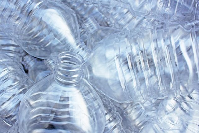 ツマアカスズメバチの駆除はトラップの設置がメイン