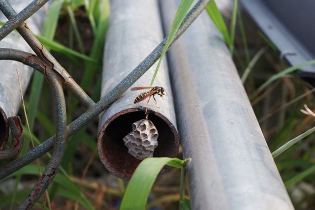 ハチの巣の駆除料金はおもに3つの要素で決まる