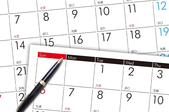 アシナガバチは11月ごろから越冬の準備を始める