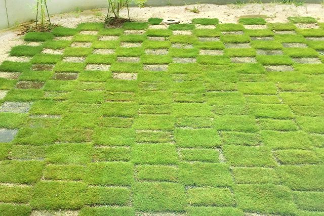 芝生を植え付ける方法は大きく3つ！その方法について