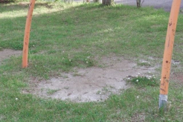 目土の量は芝が隠れない程度