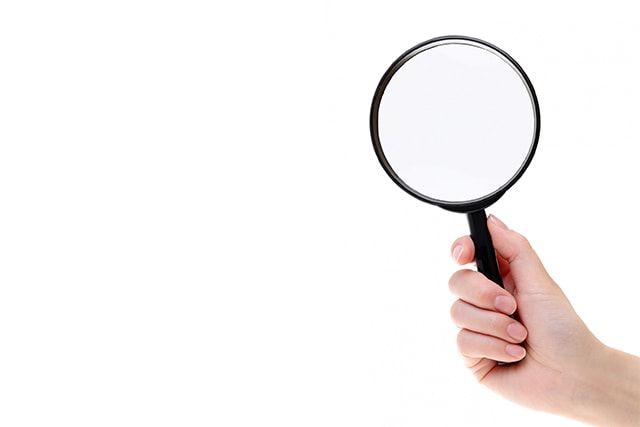 ツマアカスズメバチの見分け方