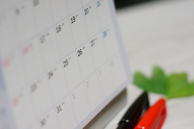 ラカンマキの剪定①：生垣の場合