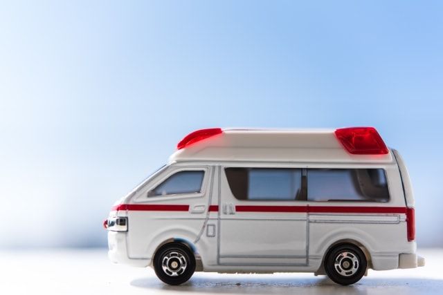 ホソアシナガバチ属には注意が必要！被害にあう前に駆除をしよう！