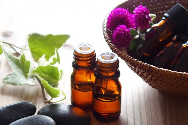 色以外でできるスズメバチに刺されないための対策方法