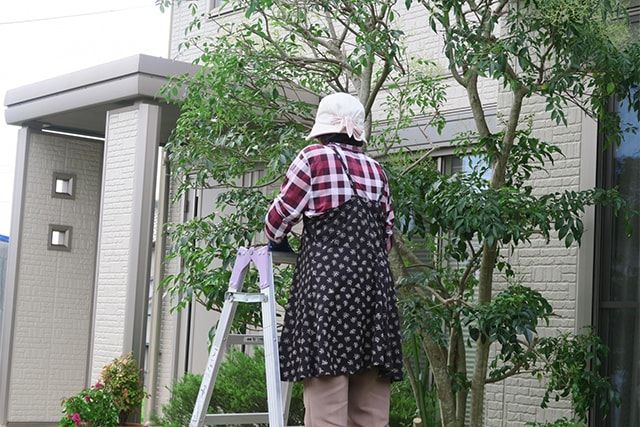 徒長枝の剪定の基本的なやり方