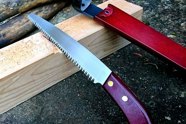 ケヤキの剪定は慎重に！切りすぎると枯れることもある？注意点を紹介