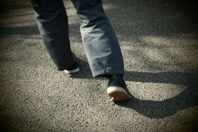 ホソアシナガバチ属には注意が必要！被害にあう前に駆除をしよう！