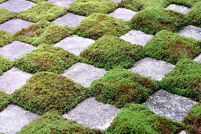 芝生の張り方でも芝生の価格は変わる