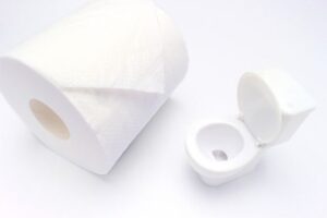 大量のトイレットペーパー、異物を流した