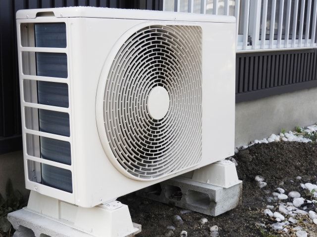 キボシアシナガバチの蜂の巣は黄色が鮮やか。ほかの蜂の巣についても