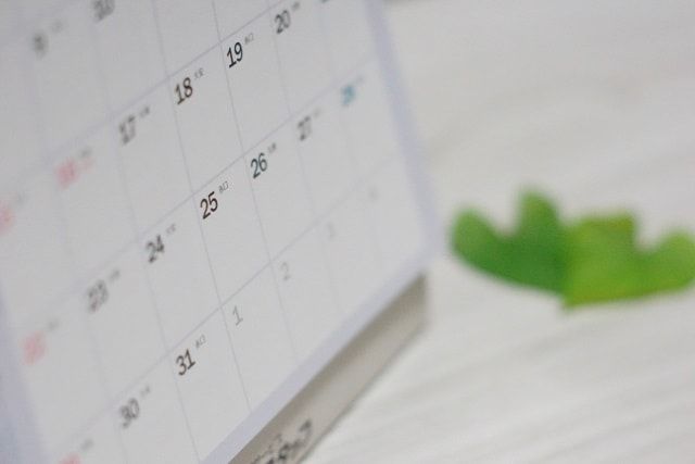 ホソアシナガバチ属には注意が必要！被害にあう前に駆除をしよう！