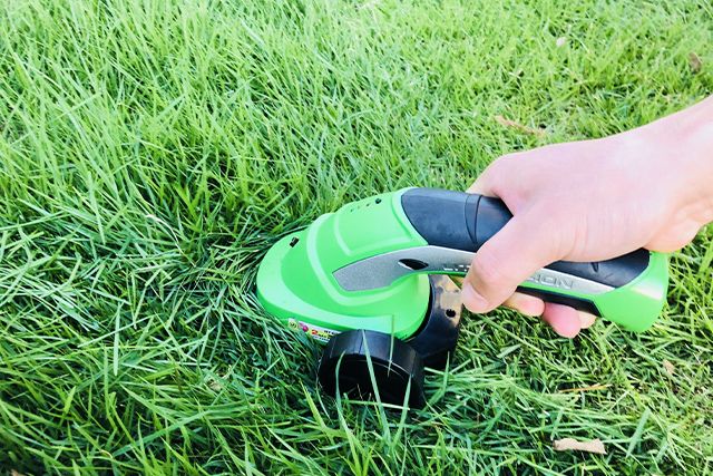 芝生の植え付けをしたら