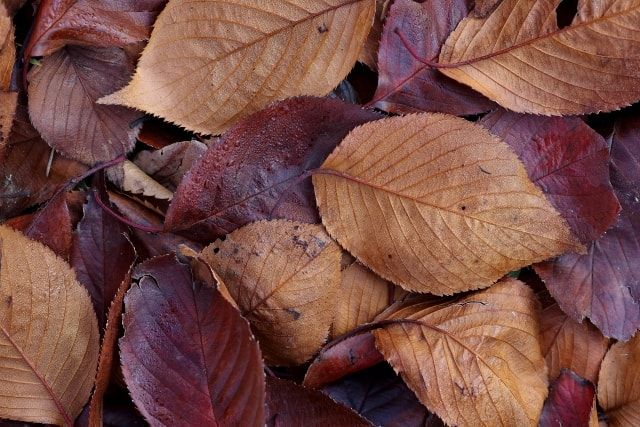 雨樋のオーバーフロー対策