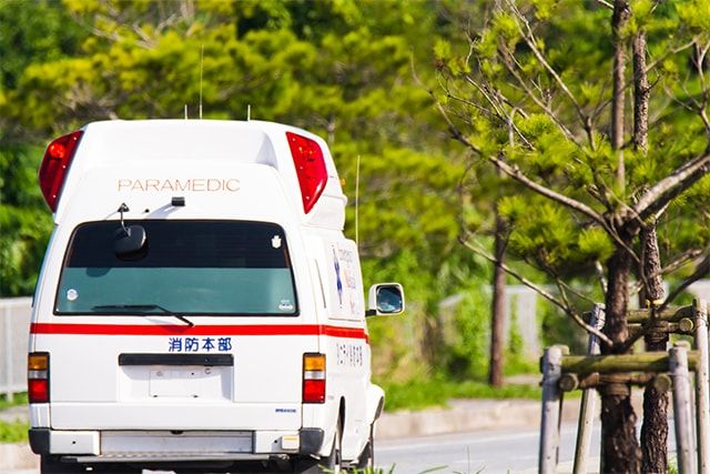 ハチを見かけたら業者に調査・駆除を依頼するのがおすすめ