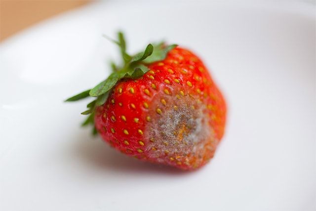 すす病にかかっても実は食べられる