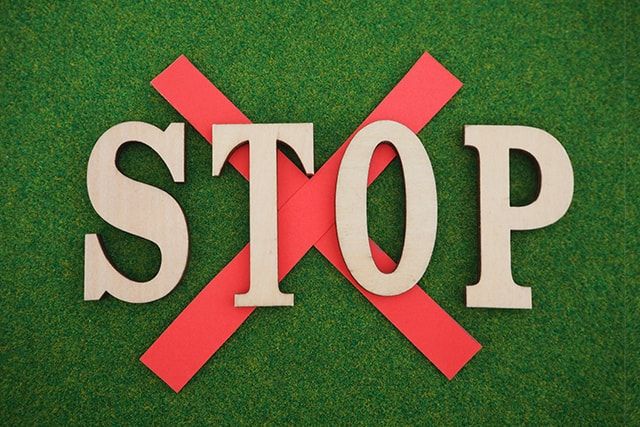 ツマアカスズメバチの勢力拡大を防ぐには