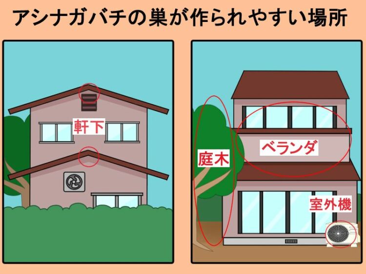 アシナガバチの巣が作られやすい場所