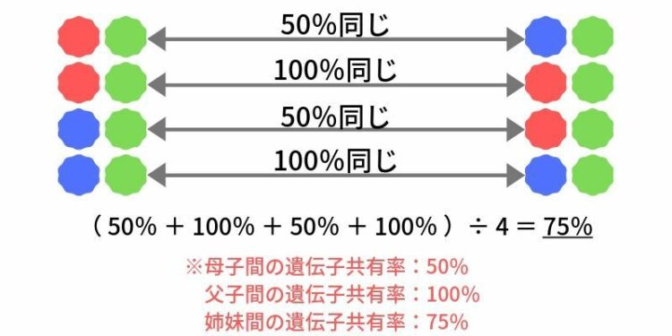 遺伝子共有率