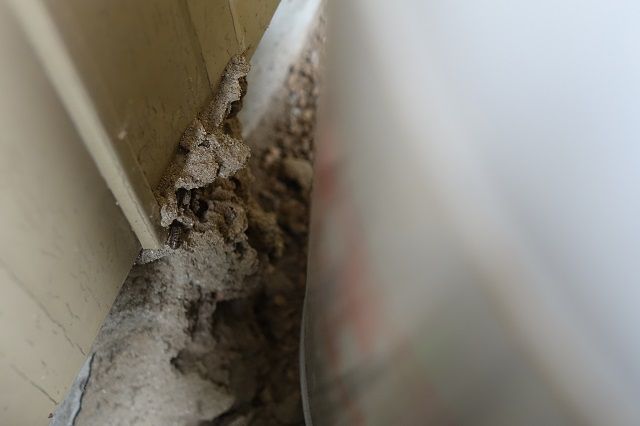 必殺シロアリ駆除人！床下から天井裏まで根こそぎ薬剤アタック！