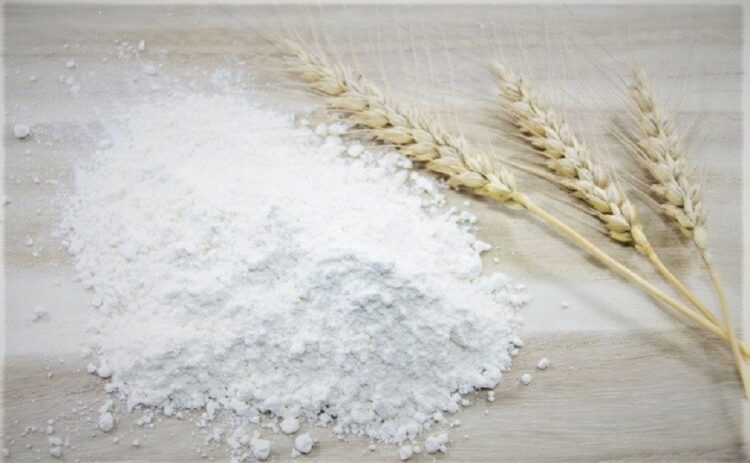 小麦粉とダニの見分け方を解説！ダニを予防する保管方法もチェック！