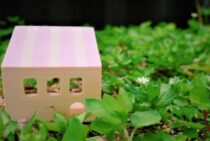 クロオオアリの駆除方法を解説！ほかのアリにも効くので要チェック！