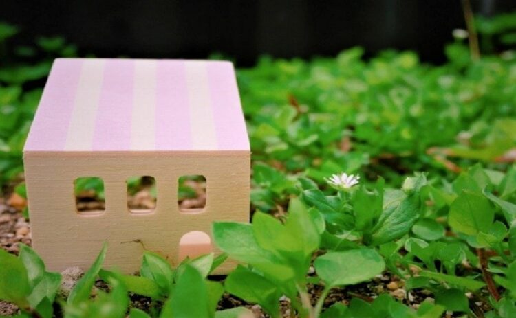 クロオオアリの駆除方法を解説！ほかのアリにも効くので要チェック！