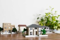 ムネアカオオアリの害は人より家にでやすい。被害と駆除方法について