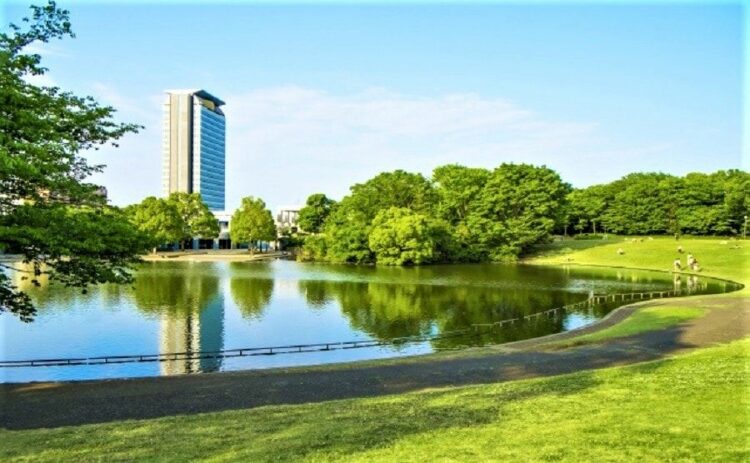 芝生には水はけが重要!芝張り前も芝張り後も水はけは改善できます