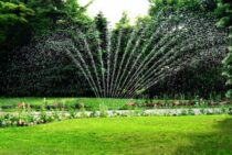 芝生にスプリンクラーを設置したい！お庭に合わせた散水方式を選ぼう