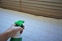 ノミの駆除は業者に任せよう！費用相場や作業時間について解説します