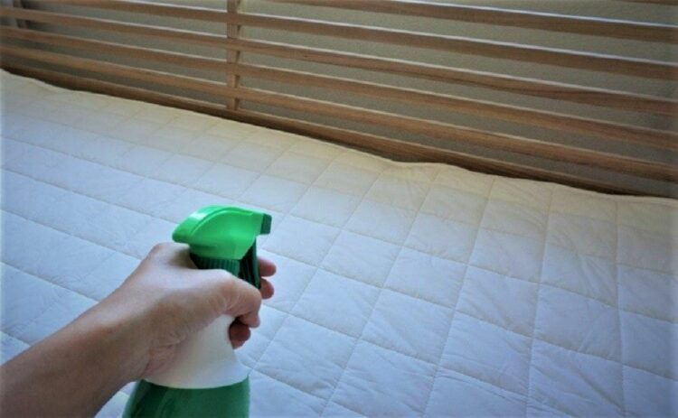 ノミの駆除は業者に任せよう！費用相場や作業時間について解説します