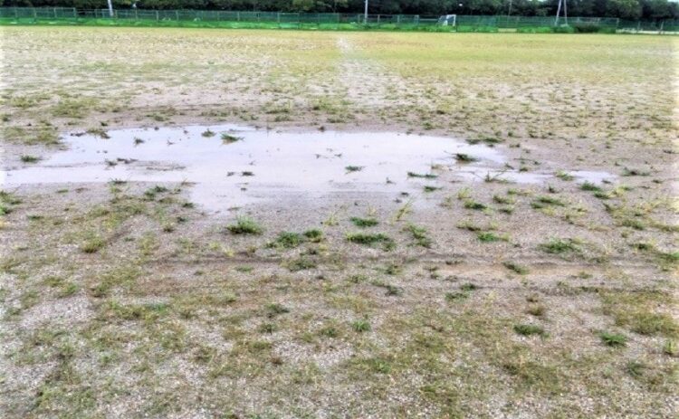水はけの悪い庭はDIYで改善できる!庭づくりの前にやっておこう