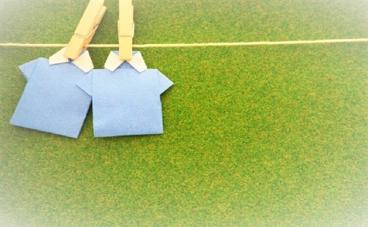 ダニから服を守るには予防が大切です！洗濯と乾燥で徹底的なダニ予防