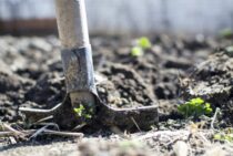 防草シートはDIYで敷くことができる！手順や準備するものも紹介